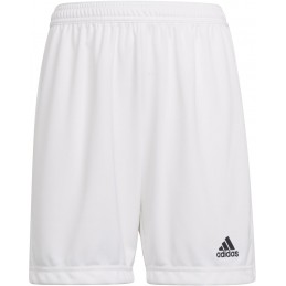 SHORT ADULTE