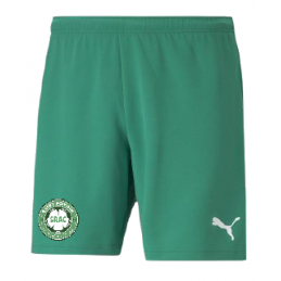 SHORT ADULTE VERT