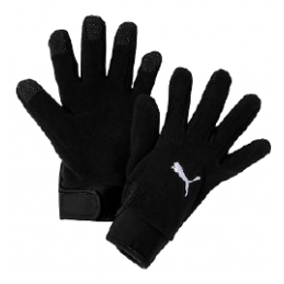 GANTS