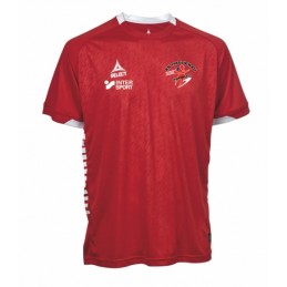 PLAYER SHIRT SPAIN