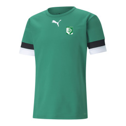 MAILLOT TEAM RISE JUNIOR